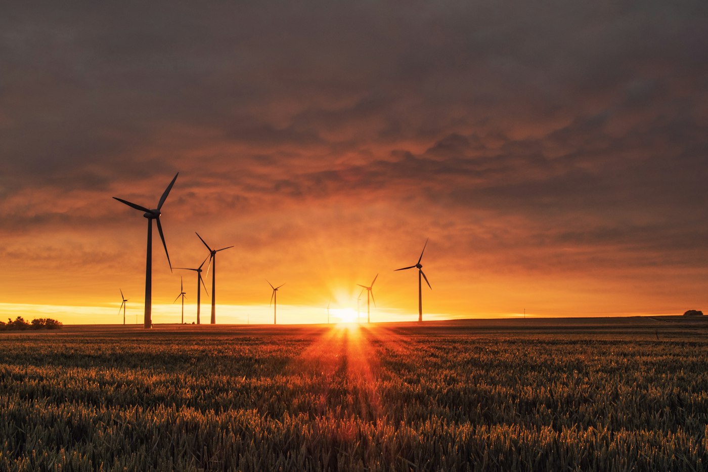 Turbine row thumbnail